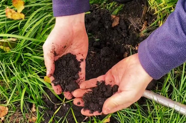 hands and soil