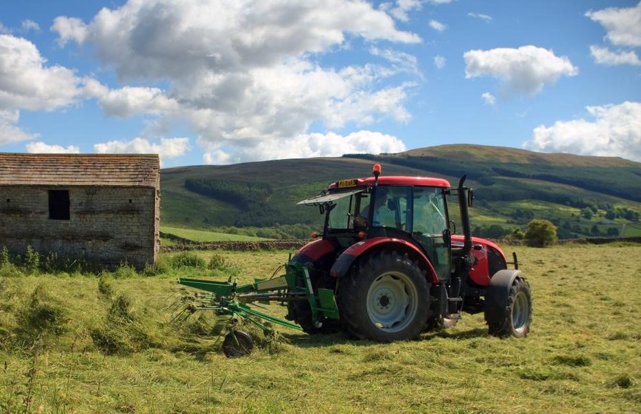 Turning the hay Wensleydale, Near Marsett, Yorkshire Dales 2011 Copyright Natural England/James LePage