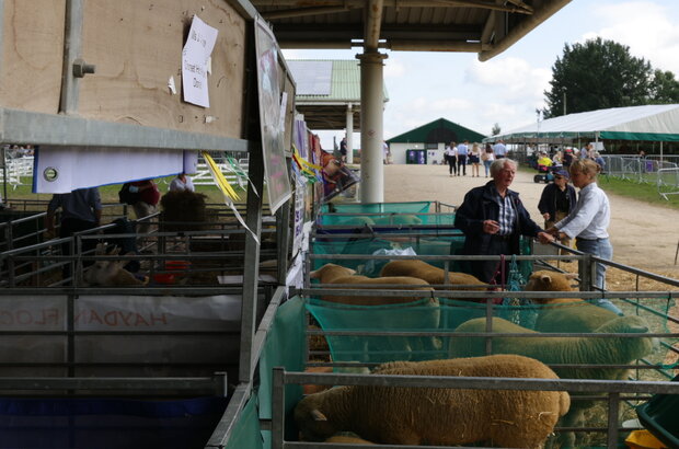 Two people in conversation at an agricultural show