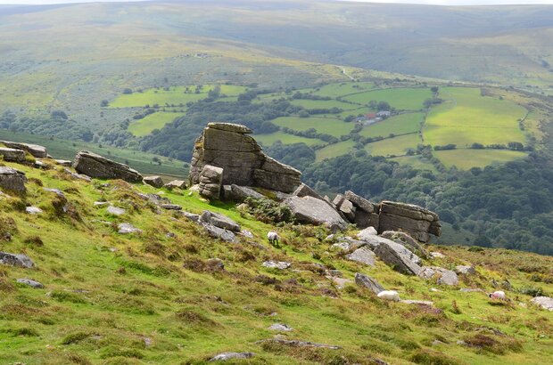 Landscape Nature Grass Mountain Hill Dartmoor Tor