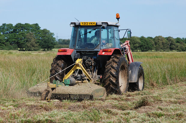 Cutting rank growth of soft rush to encourage fresh growth for some control by cattle grazing