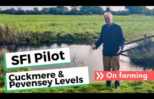 Pevensey-SFI-pilot-youtube-thumbnail