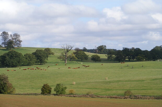 Northamptonshire Uplands - Fawsley Park