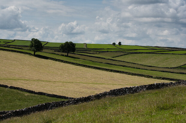 Dry stone walls, Derbyshire Dales