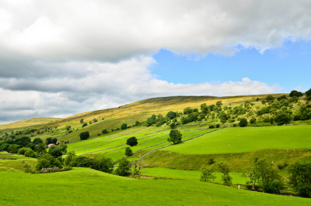 Rolling green hills of the Yorkshire Dales