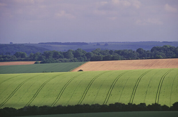 Askham in Furness