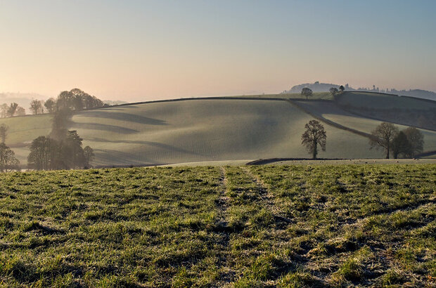 Landscape with mist