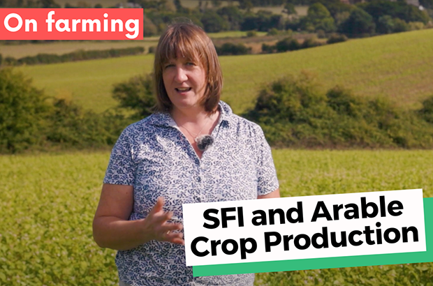 SFI and arable farming Caroline-Knox