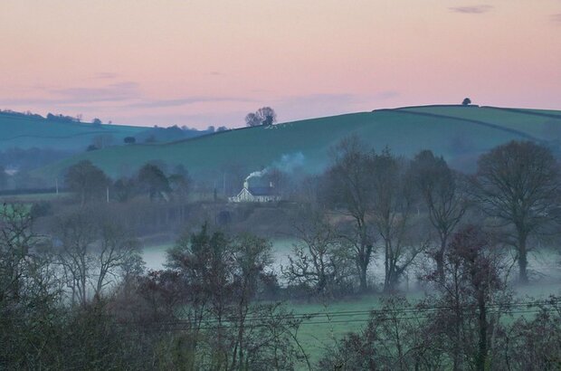 Winter scene on the Killerton estate by Alison Day