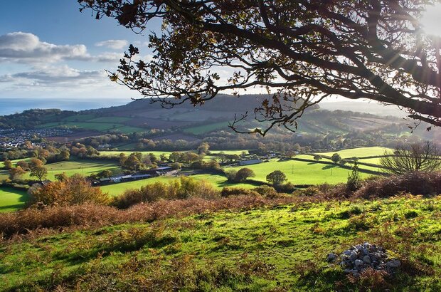 East Devon view by Alison Day