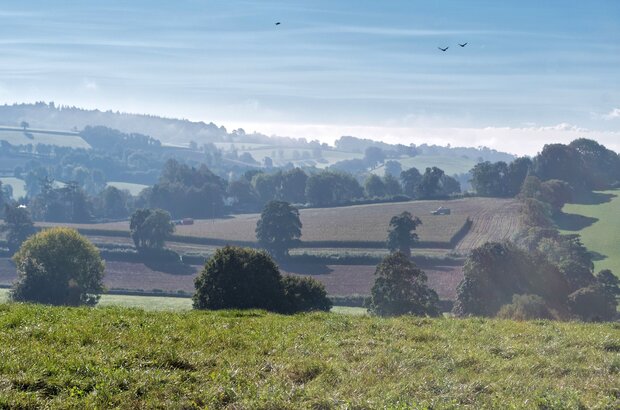 Hele, Mid Devon District photograph by Alison Day