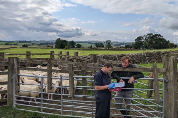 Vet and farmer in conversation