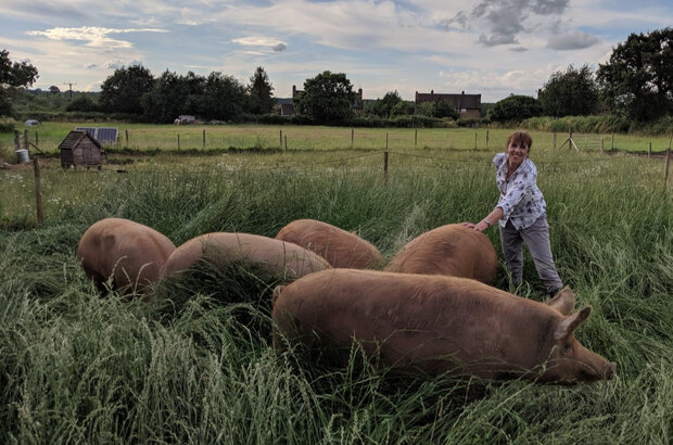 Helen Dale, The Good Life Meat Company with pigs in a field