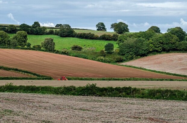 Devon landscape with red tractor at work in field.