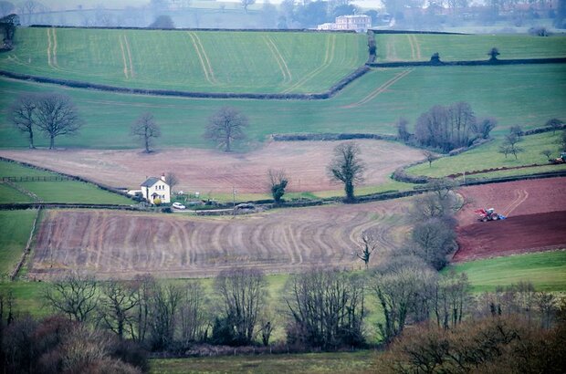 Valley of Patterns and Textures in Devon