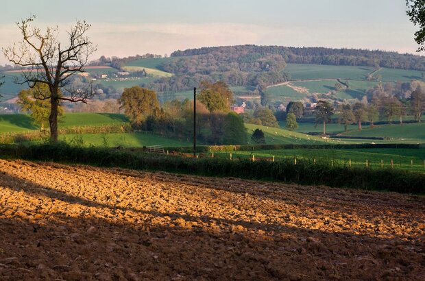 Evening Light on fields and countryside in Bradninch, Devon