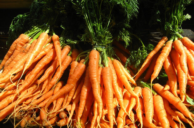 Bunches of carrots piled on top of each other