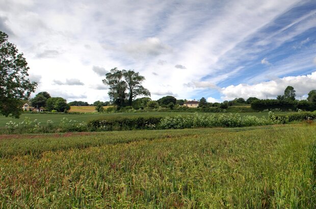 A view of English farmland with trees and fields in the distance under a blue sky.
