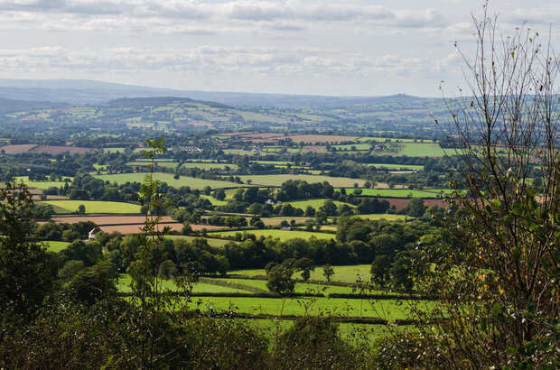 Photograph by Alison Day shows view of green fields and countryside from Hembury, stretching to Exmoor.
