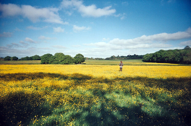 A figure stands in a bright yellow field, looking toward the horizon.
