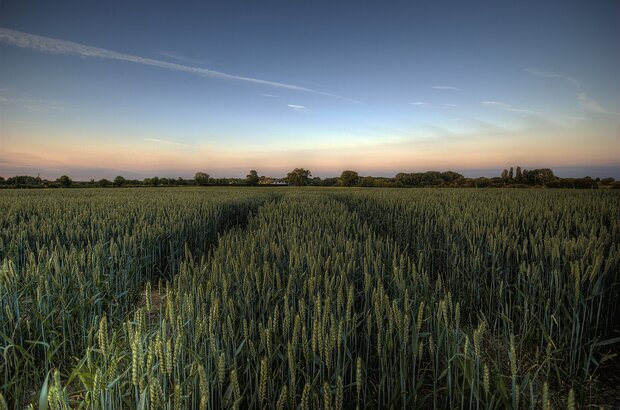 Field just outside Lichfield taken at dusk