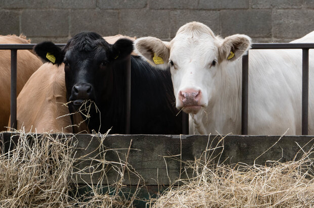 Apply now for a Slurry Infrastructure grant – Farming