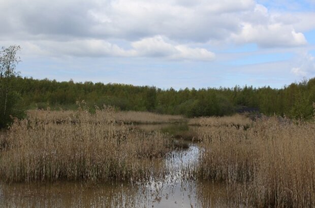 Snapshot of the project site landscape with water in foreground and woodland in the distance.