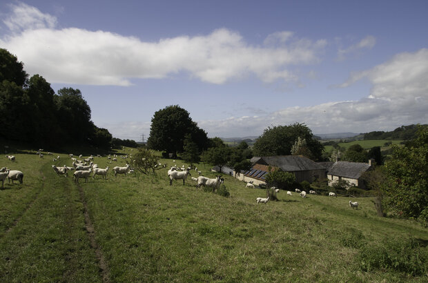 Image of a farm building and sheep on a gradient
