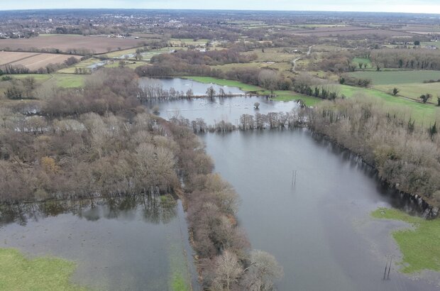 Landscape Recovery: The Waveney and Little Ouse Recovery Project – Farming