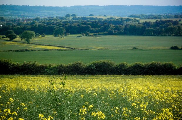 A view of the Nottinghamshire Countryside.