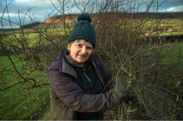 Daphne Jackson, Slidney Beck Farm 