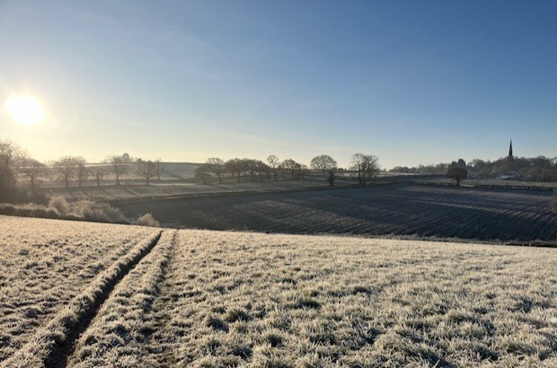 Countryside scene in the morning, frosty grass in the foreground with row of barren trees on the horizon