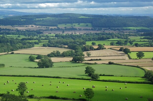 Ragleth Hill View. Patchwork of green fields, trees and farmland.