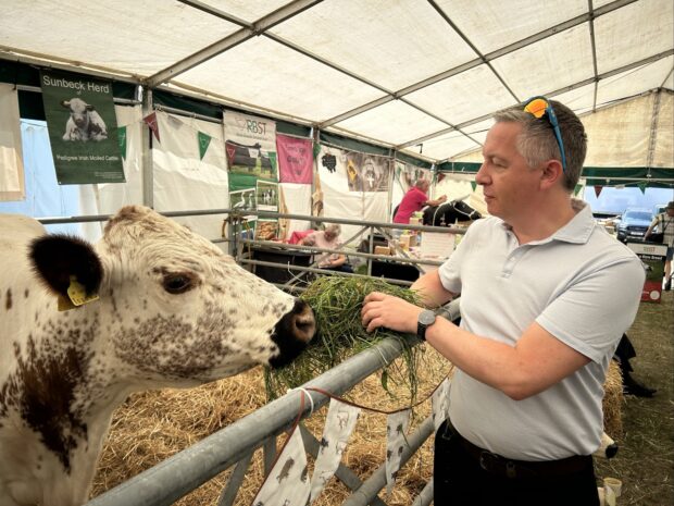 Richard Thompson, the ASCA feeds a cow at the Great Yorkshire Show