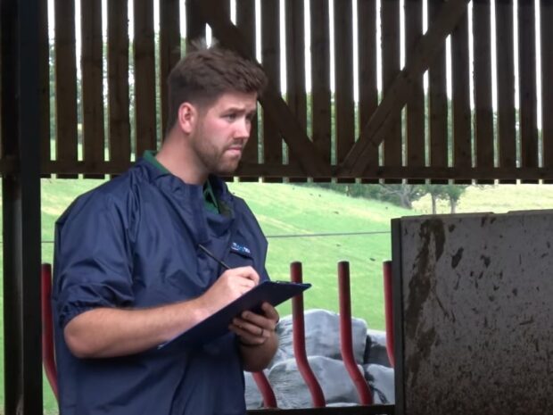 Photo of a male vet making notes in a cattle shed