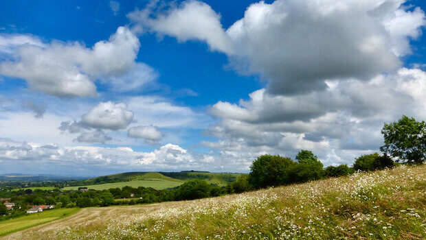 Rolling countryside under a blue sky with fluffy white clouds. The foreground shows a sloping meadow dotted with wildflowers, while green hills, scattered trees, and a few distant buildings appear in the background.