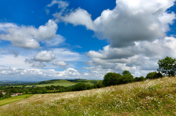 Rolling countryside under a blue sky with fluffy white clouds. The foreground shows a sloping meadow dotted with wildflowers, while green hills, scattered trees, and a few distant buildings appear in the background.