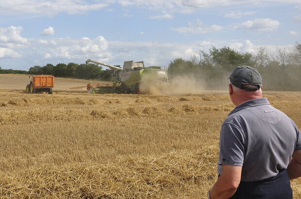 Farmer watches over field and combine harvester under blue skies with soft clouds.