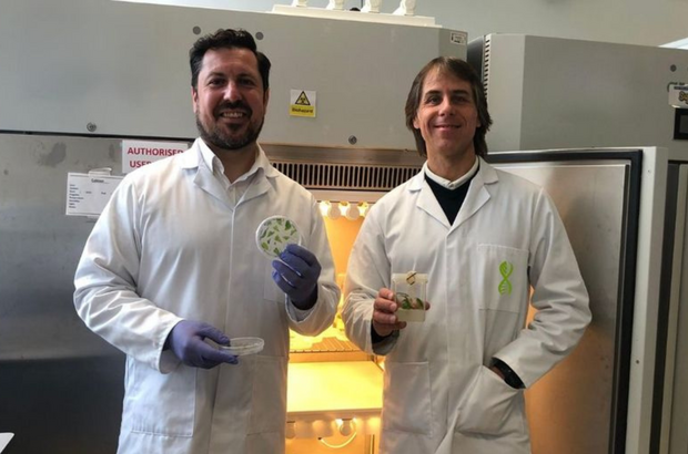 precision_plants_founders_mark_turner_wearing_gloves_and_charles_clowes_holding_hemp_dna