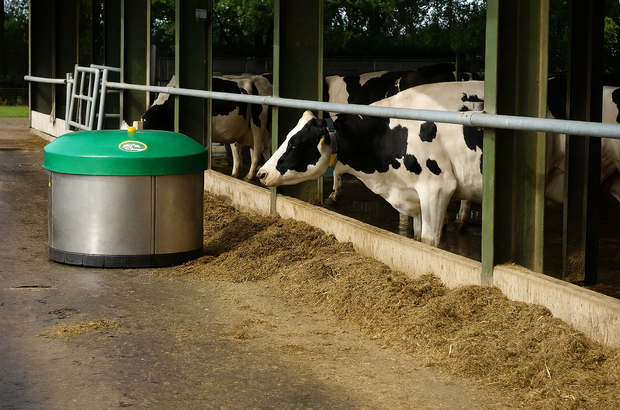 A cylindrical silage pusher machine with a green top sits on the left side of a covered barn walkway. Several black‑and‑white cows stand behind a metal railing on the right, eating from a long line of feed on the ground. The scene is inside an open‑sided livestock shelter with green support beams and concrete flooring.