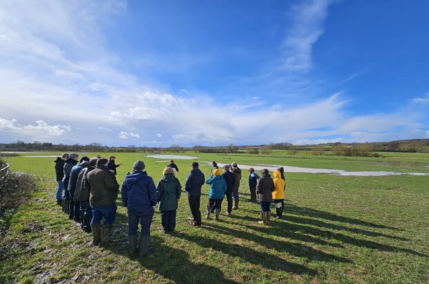 A group of people stand together in an open grassy field, listening to someone speak while facing a wide landscape of wetlands and distant hills. The sky above is bright blue with scattered clouds, and the sun casts long shadows across the ground.