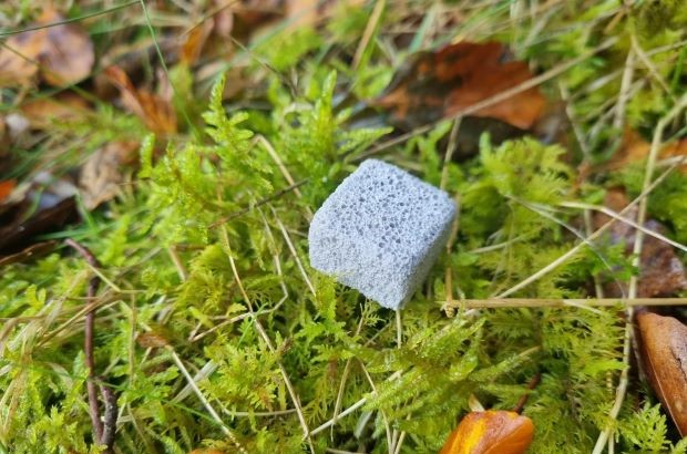 Photograph of a small, grey, porous pellet resting on bright green moss with scattered dry leaves and grass around.