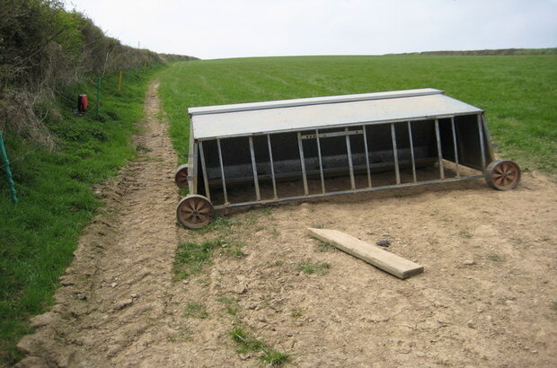 A metal lamb feeder with feed bars and wheels sits beside a dirt track, with open grassy fields and a hedgerow in the background.