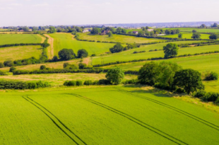Farming – Updates from Defra's Farming and Countryside Team