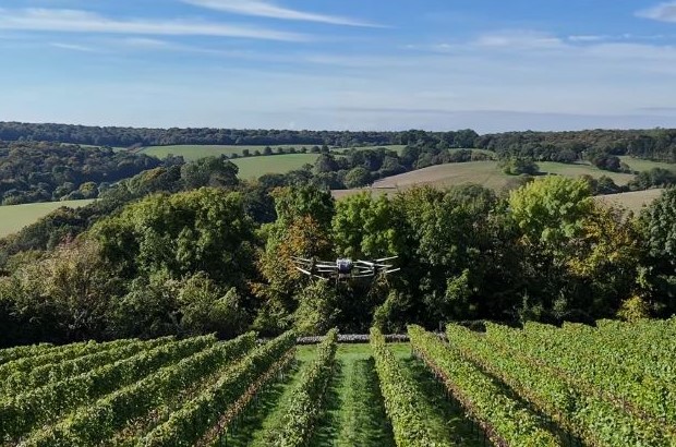 A drone flying over a vineyard with blue skies and green hills in the distance.