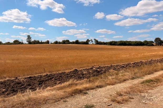 A dry, yellow-brown field with parched grass and bare soil under a blue sky with scattered clouds.