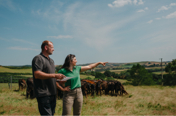 A farmer and Forestry Commission advisor chat through a Woodland Management Plan, as a herd of cows graze in the background.